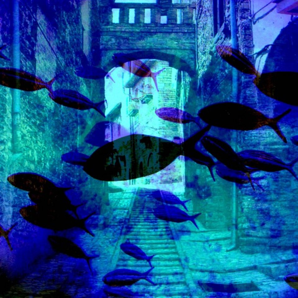 Folgen des Klimawandels 32215, Digitalkunst auf Karton, José S. Ocón