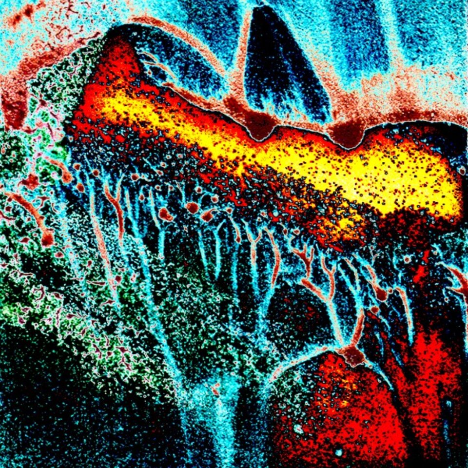 Bild 48 J, Digitalkunst auf Karton, José S. Ocón
