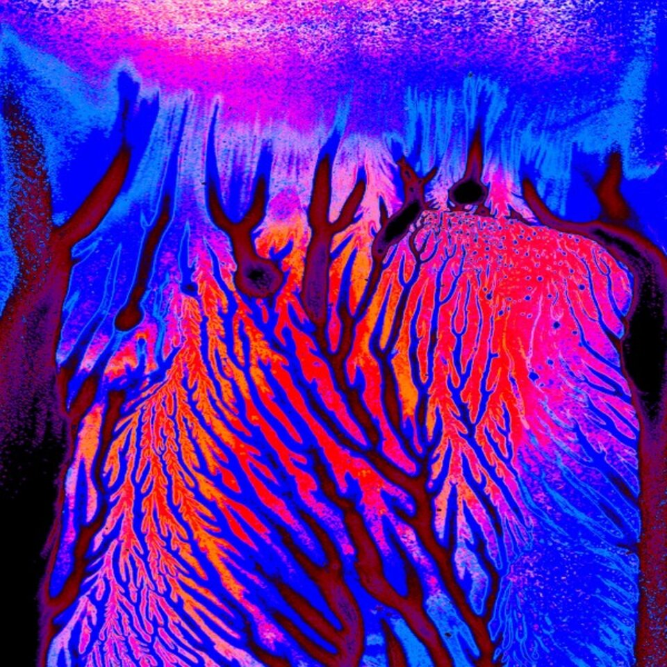 Zyklus Wurzel 32622, Digitalkunst auf Karton, José S. Ocón