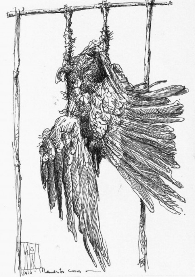 Memento corvo, Tusche auf Papier, Sven Wangemann