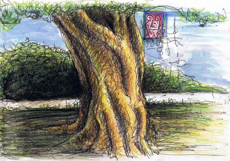 Ölbaum in Vatopedi, Sven Wangemann
