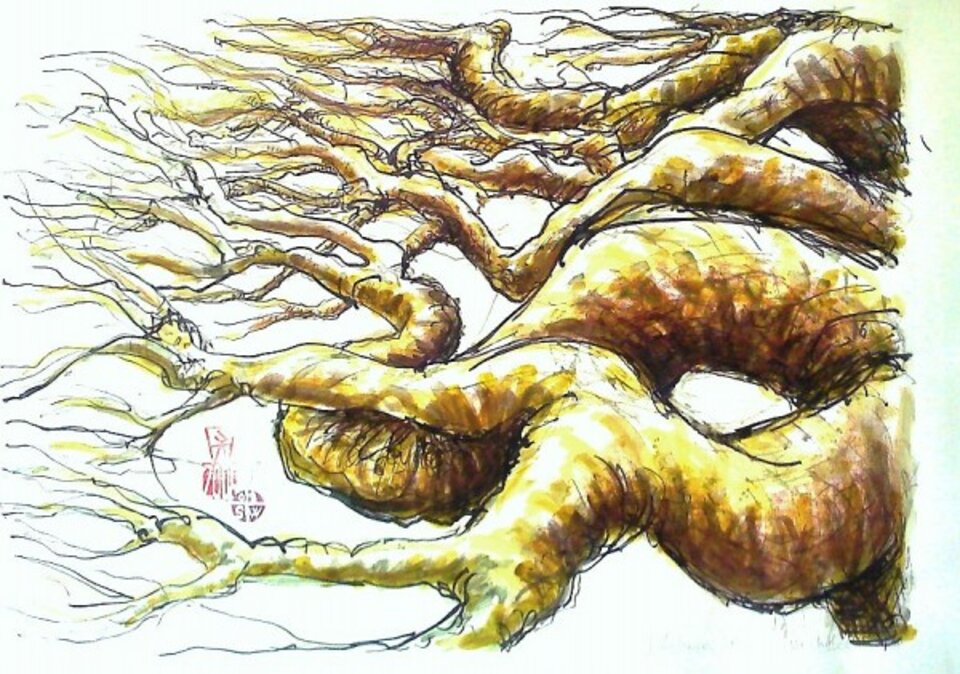 Maulbeere, Sven Wangemann