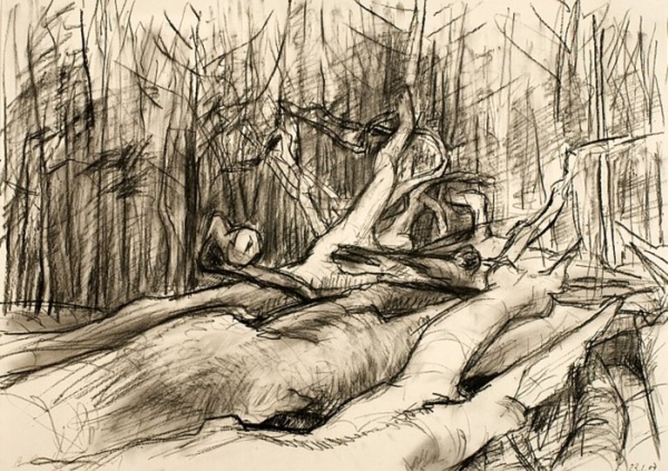 Nach dem Sturm I, Kohle , Anita Voigt