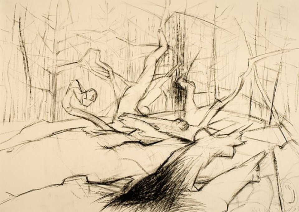 Nach dem Sturm II, Kohle , Anita Voigt