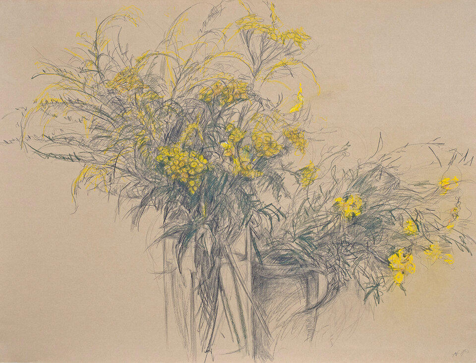Rainfarn und Goldrute, Graphit / Pastell , Anita Voigt