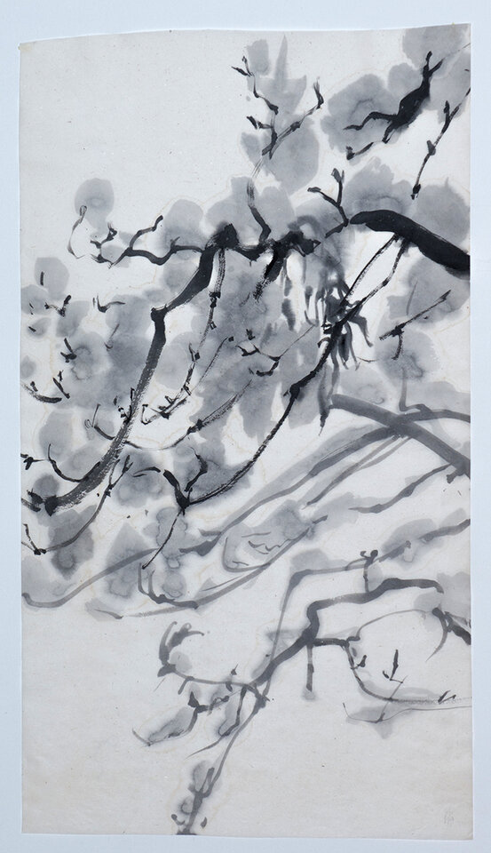 Nasser Schnee auf der Sternmagnolie II, Anita Voigt