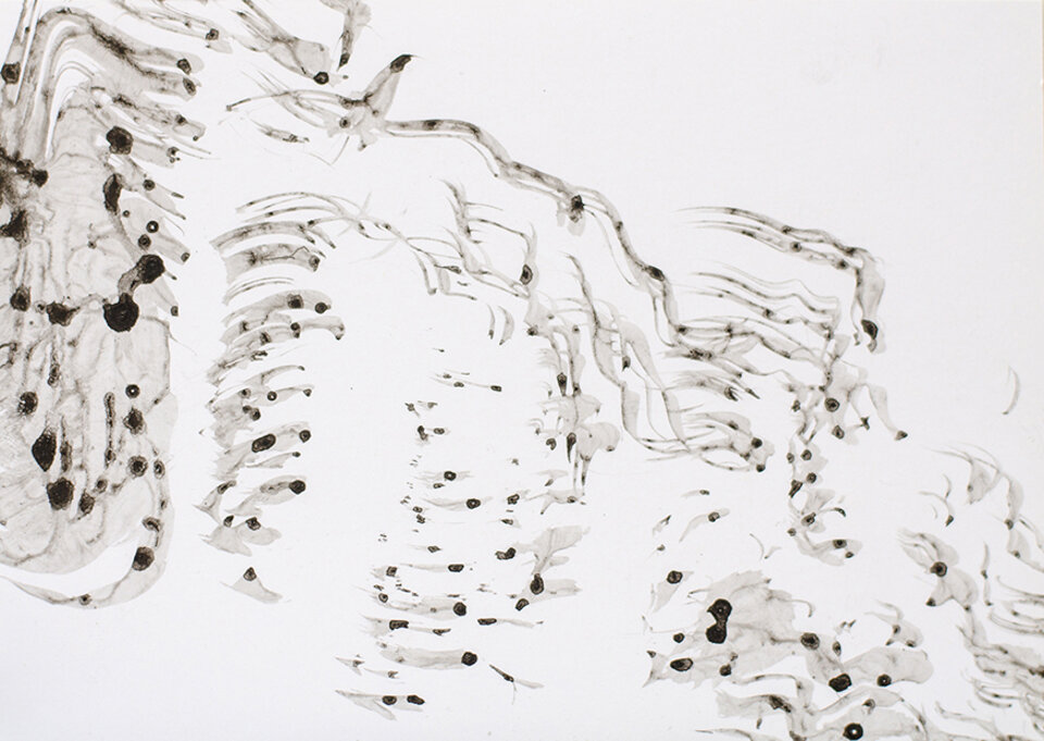 Serie Bewegung / Wasser 6057, Anita Voigt
