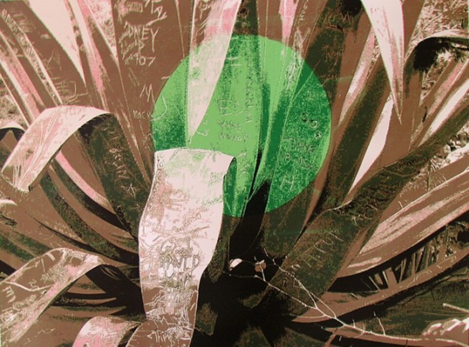Agave bei Vollmond, Anita Voigt