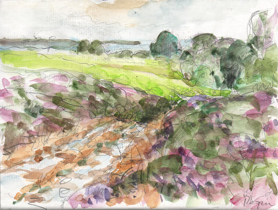 12 / 23 Heide am Cap Frehel, Anita Voigt