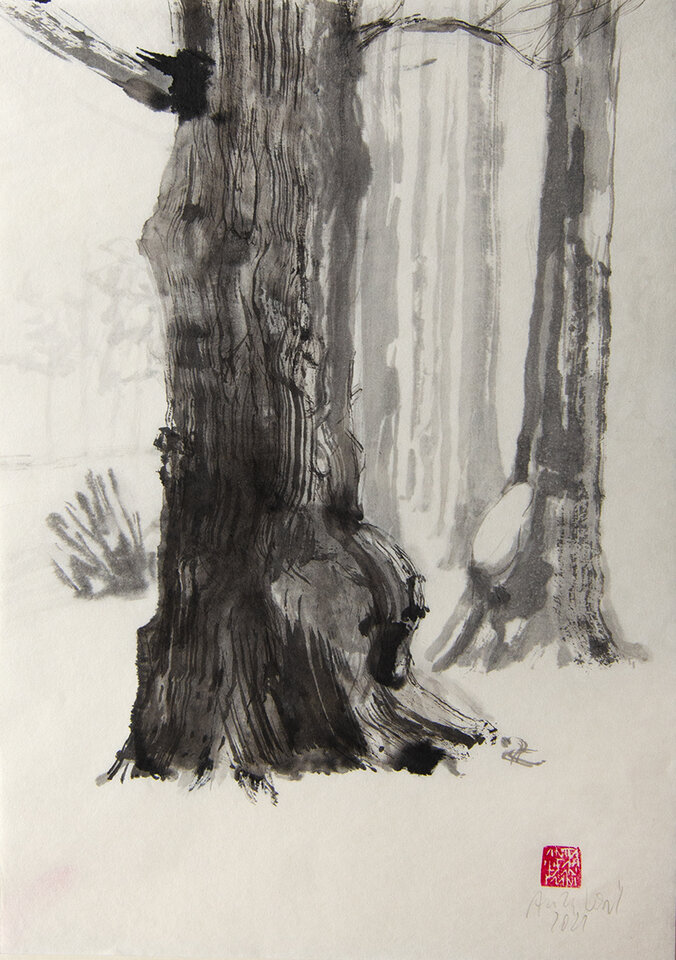 Wacholder 21 5, Anita Voigt