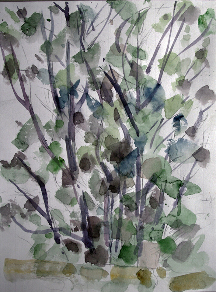 Bäume II / Ferrano, Aquarell , Anita Voigt