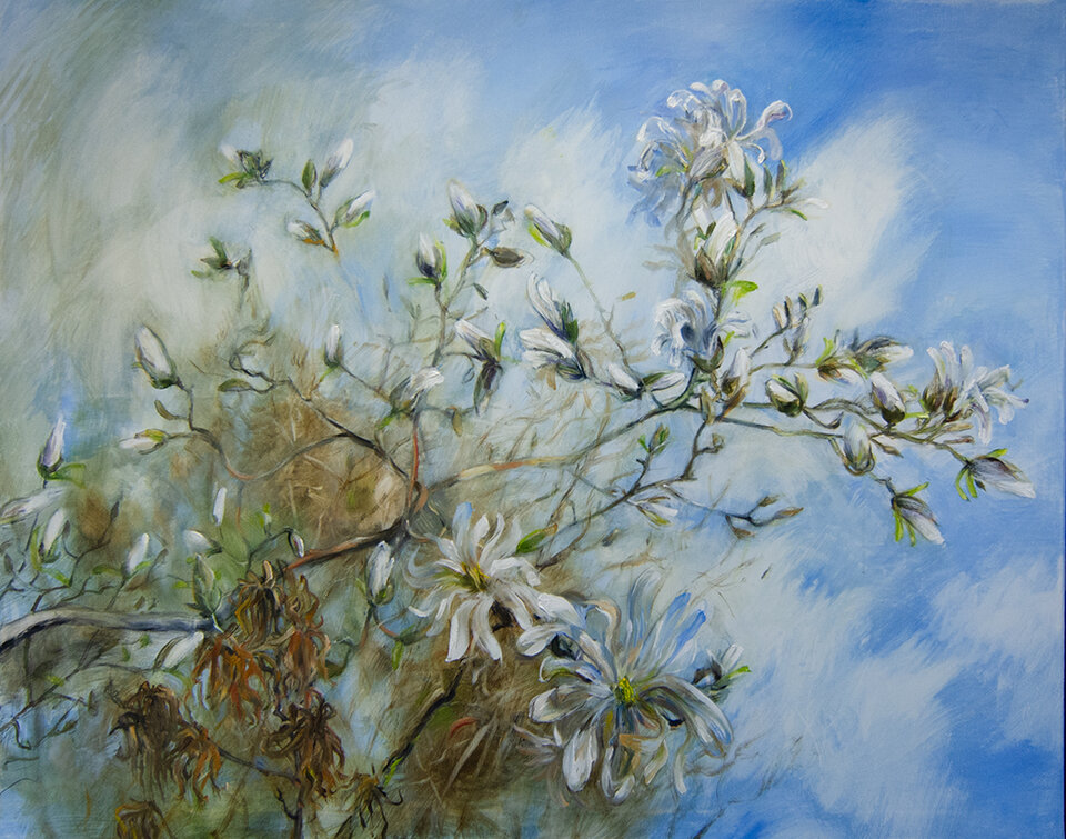 Magnolia, Öl auf Leinwand, Anita Voigt