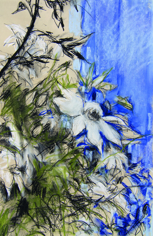 Clematis, Anita Voigt