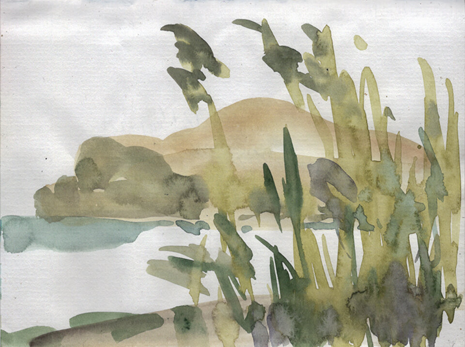 Am Bodden, die Zickerschen Berge, Anita Voigt