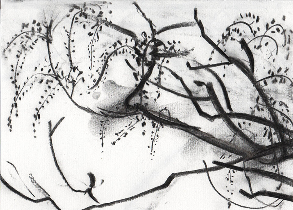 Glyzinie / 220502, Anita Voigt