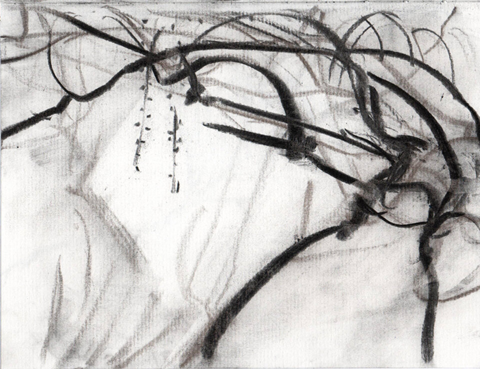 Glyzinie 220503, Anita Voigt