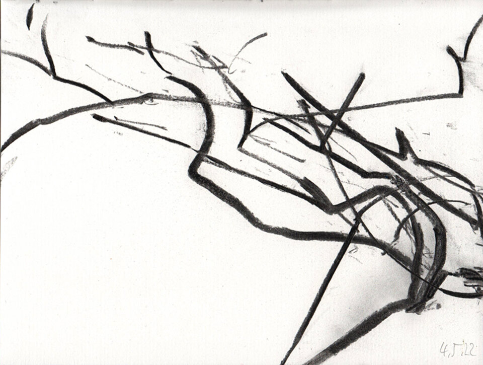 Glyzinie / 220506, Anita Voigt