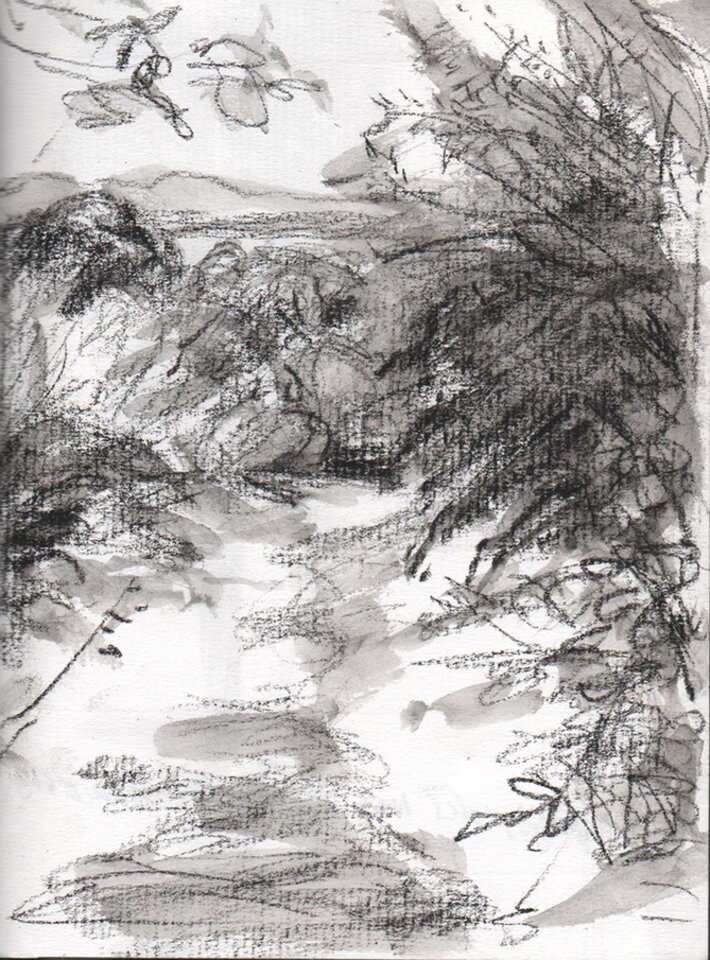 Irland 24 1, Pittkreide Papier, Anita Voigt