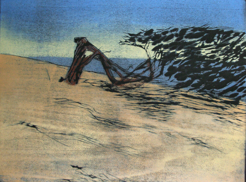 Wacholder  1 / El Hierro , Anita Voigt