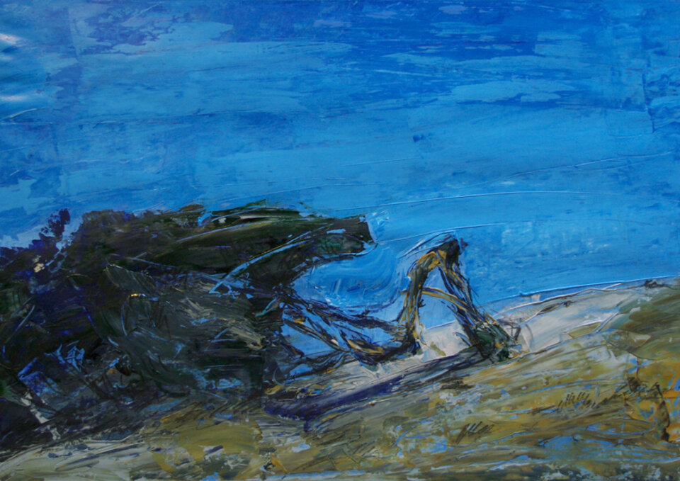 Alter Wacholder 2, Anita Voigt