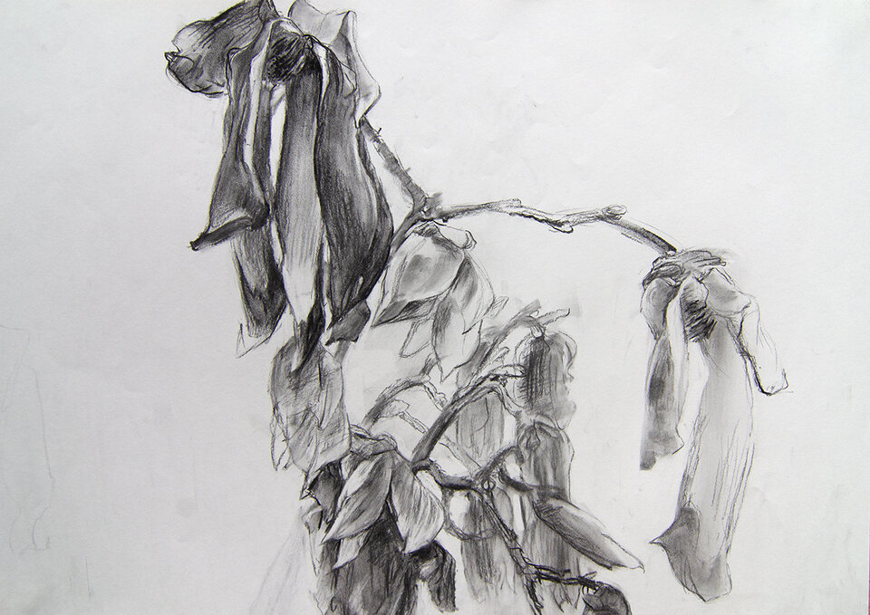 Magnolia 13, Kohle auf Papier, Anita Voigt