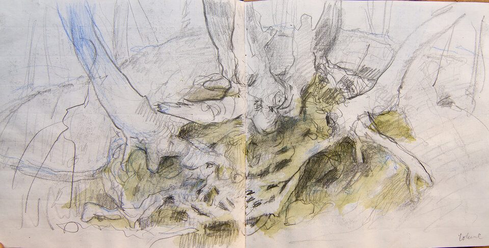 Wurzeln, Graphit, Kreide Skizzenbuch, Anita Voigt