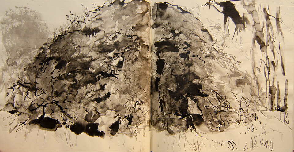 Magischer Ort, Tusche Skizzenbuch, Anita Voigt