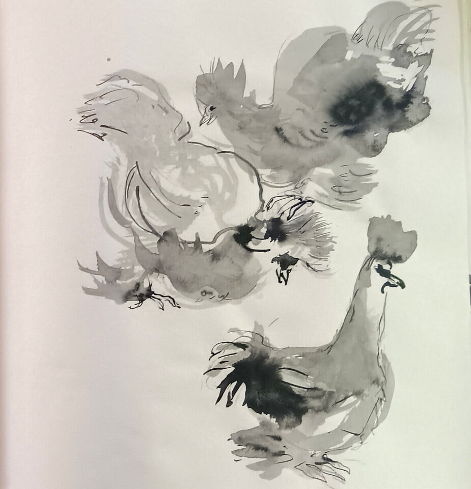 Sylvias Seidenhühner 1, Tusche Skizzenbuch, Anita Voigt