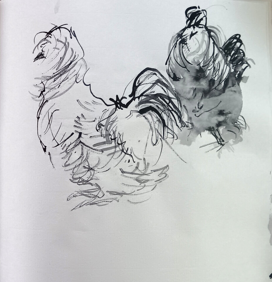 Sylvias Seidenhühner 2, Tusche Skizzenbuch, Anita Voigt