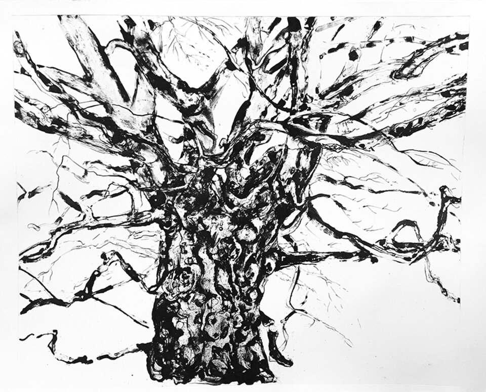 Die Buche im Klostergarten Varnhem, Algraphie , Anita Voigt