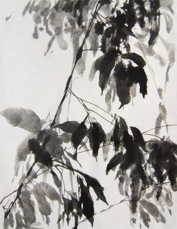 Aus dem Fenster, Herbst, Anita Voigt