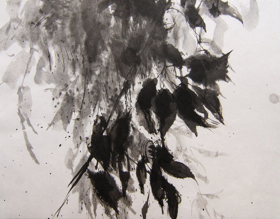 Am Fenster, Herbstlicht, Anita Voigt