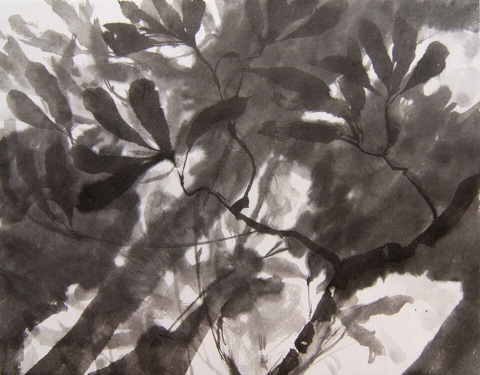 Herbsttage der Sternmagnolie, Anita Voigt