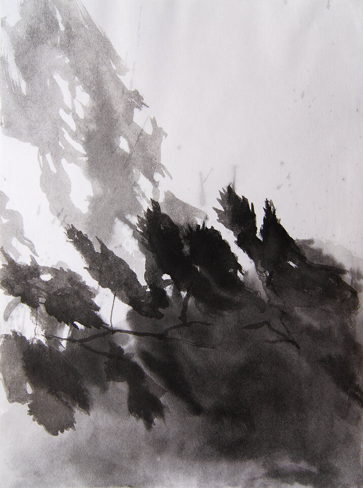 Herbstschatten, Anita Voigt