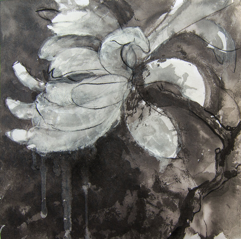 Magnolia 2603, Anita Voigt
