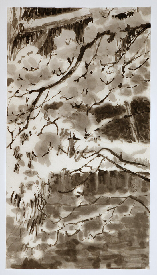 Nasser Schnee auf Sternmagnolie I, Tusche Japanpapier, Anita Voigt