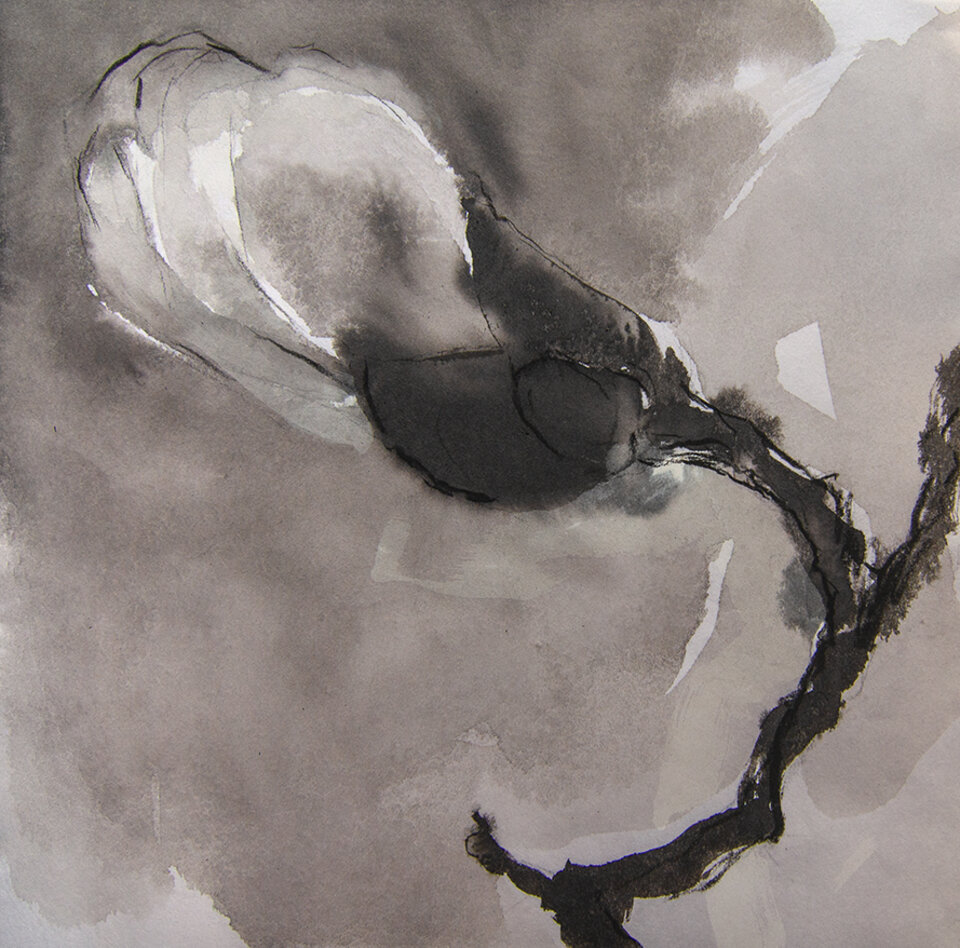 Magnolia 2602, Anita Voigt