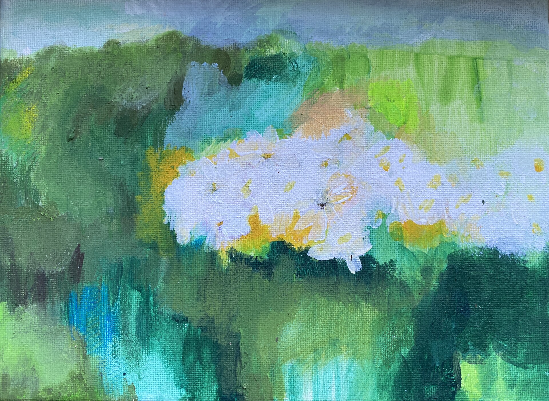 Margeriten 1, Susanne Ziegler