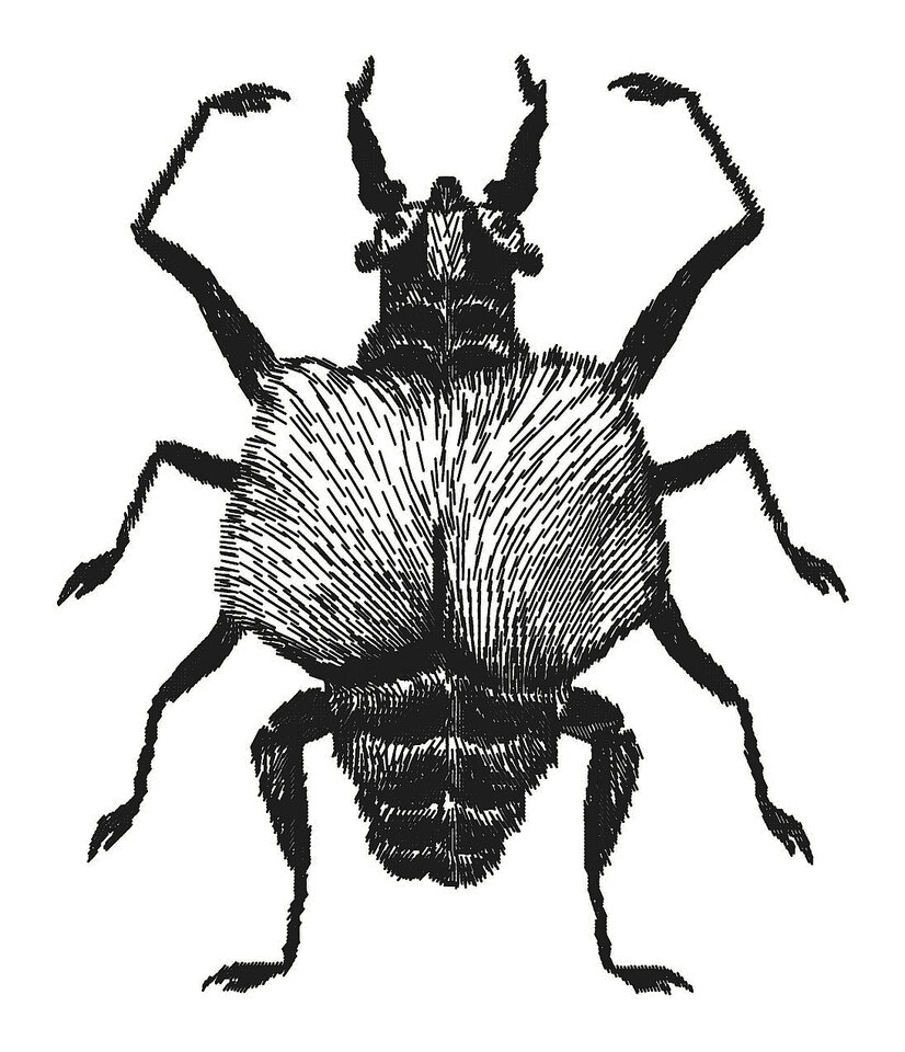 Friedricus hinterus penius, Friedrich Fröhlich