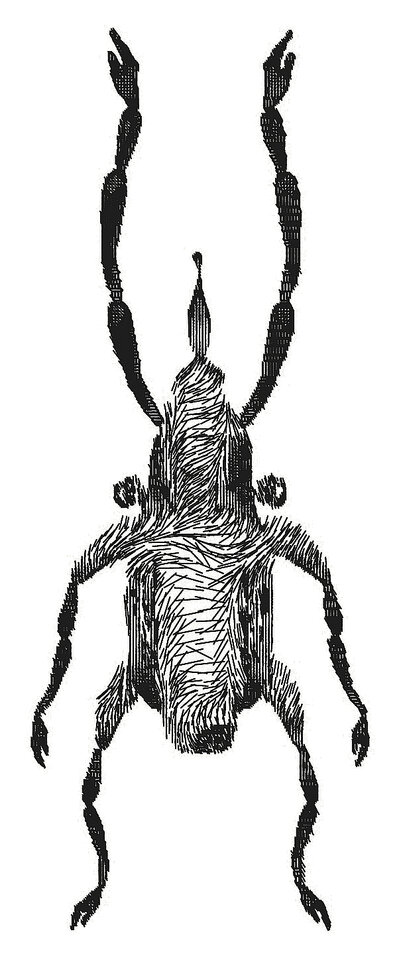 Friedricus penius achillesfersa, Friedrich Fröhlich