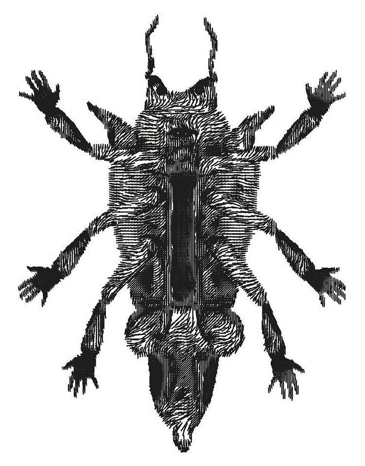 Friedricus haendae mundus, Friedrich Fröhlich