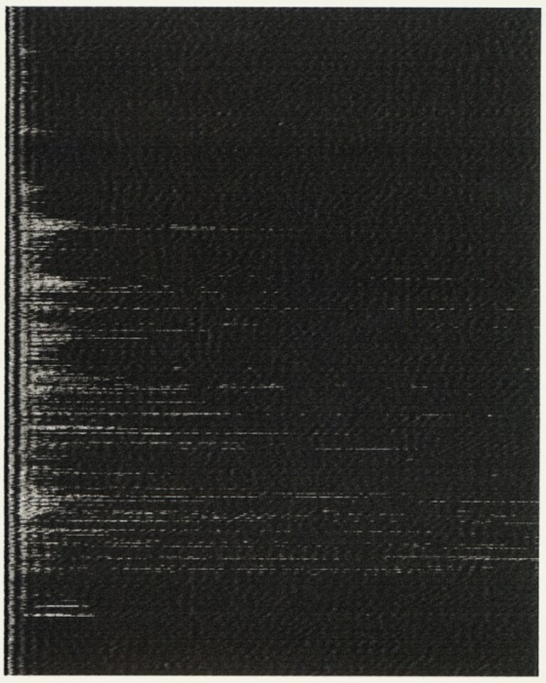 Schwarze Fläche, Friedrich Fröhlich