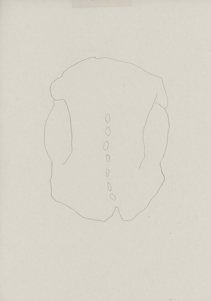 Rückenstudie, Zeichnung auf Papier, Friedrich Fröhlich