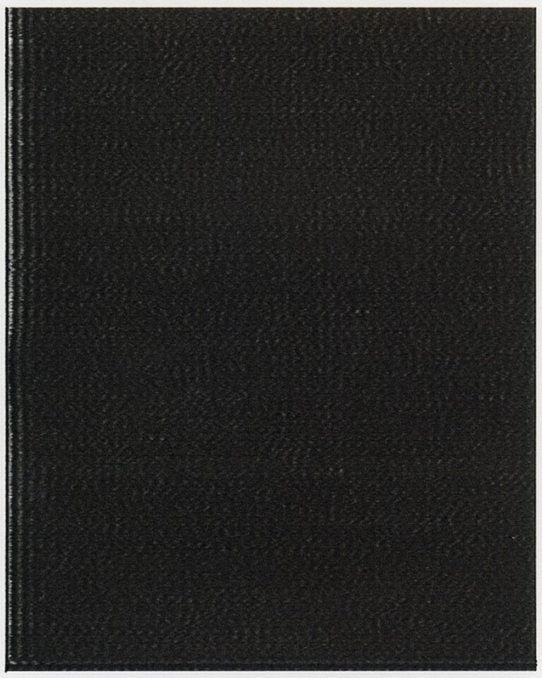 Schwarze Fläche, Friedrich Fröhlich