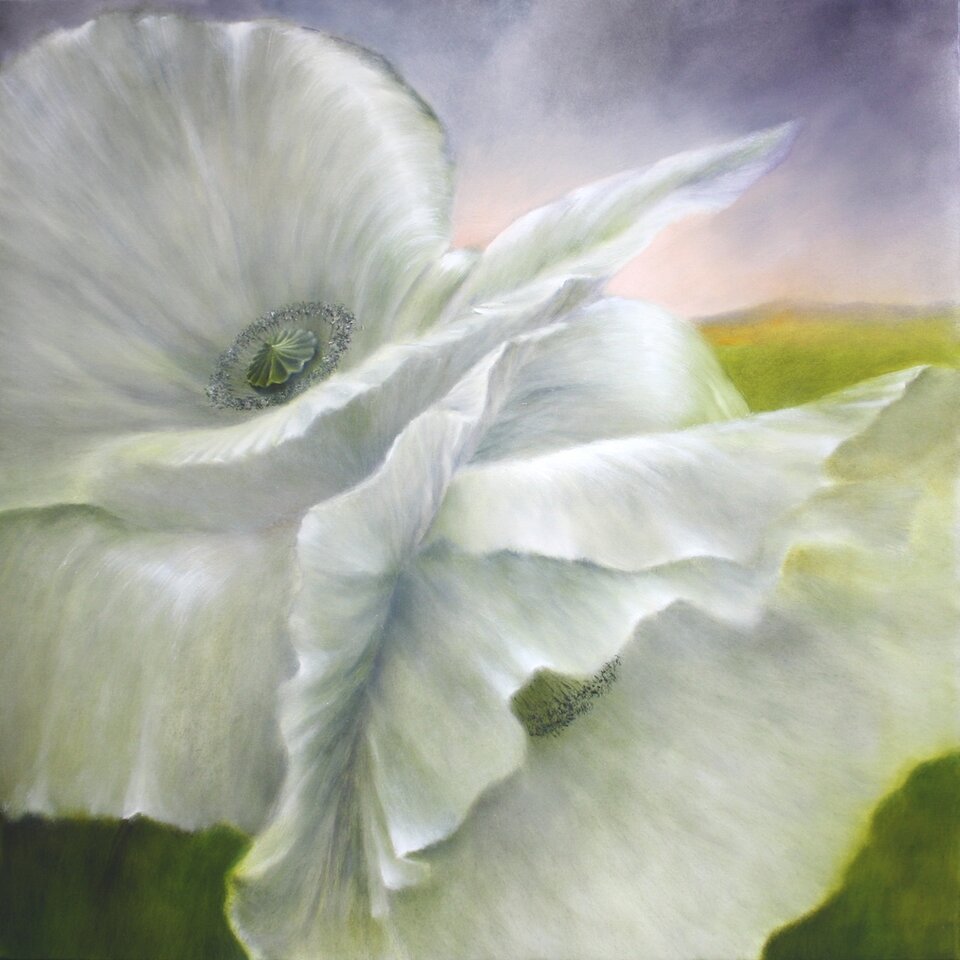 WEißer Mohn, Annette Schmucker Atelier und Galerie