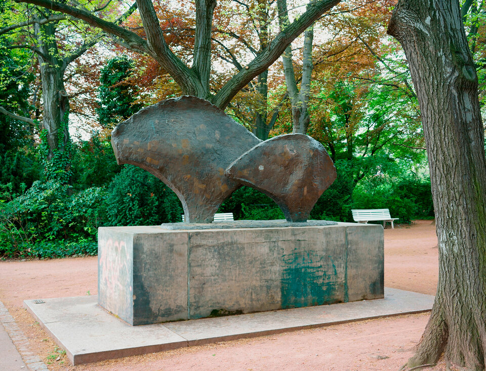 ani-mal, Steffen Bachmann