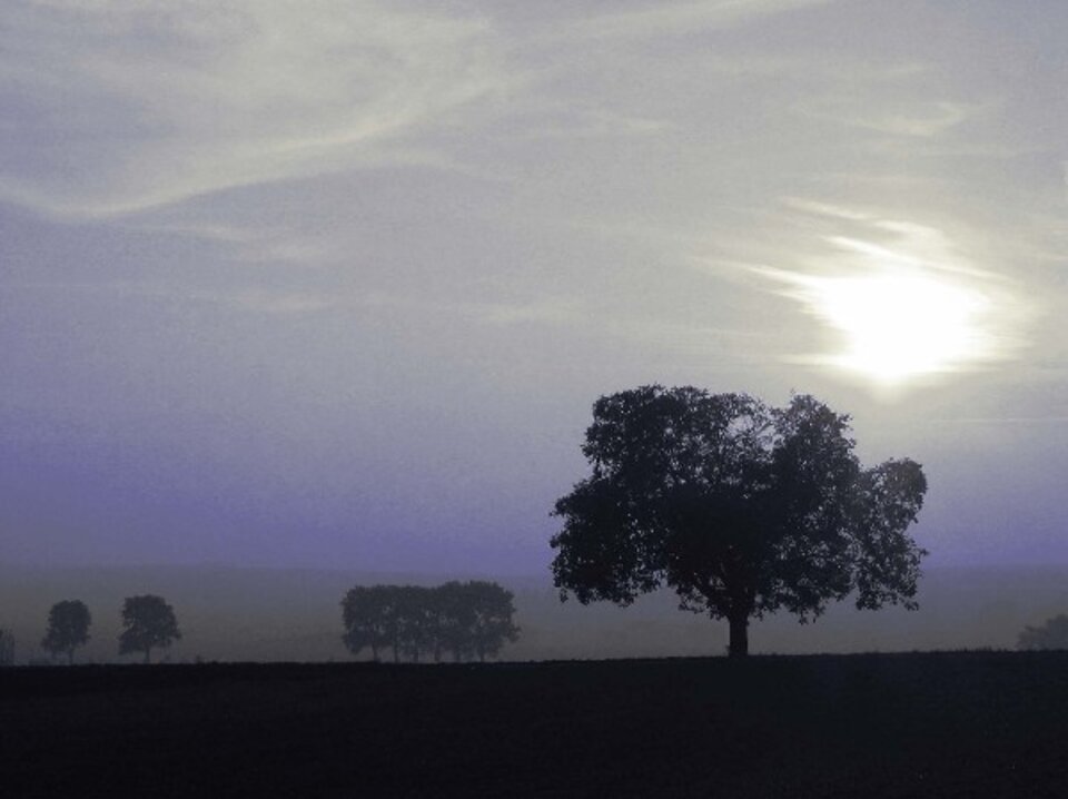 blauer Horizont mit Baum, Digitalfotografie , Sascha Bernard