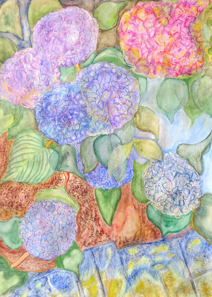 Hortensien, Aquarell, 46 x 61 cm auf Papier, Wolfgang Bittkau