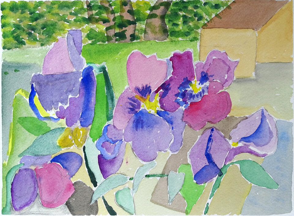 Stiefmütterchen, Aquarell, 28 x 20 cm auf Papier, Wolfgang Bittkau