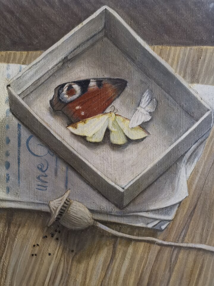 Falter I, Franziska Dathe